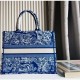 Dior Unisex CD Large Book Tote Fluorescent Blue Toile De Jouy Transparent Canvas