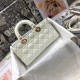 Dior LADY D-JOY BAG