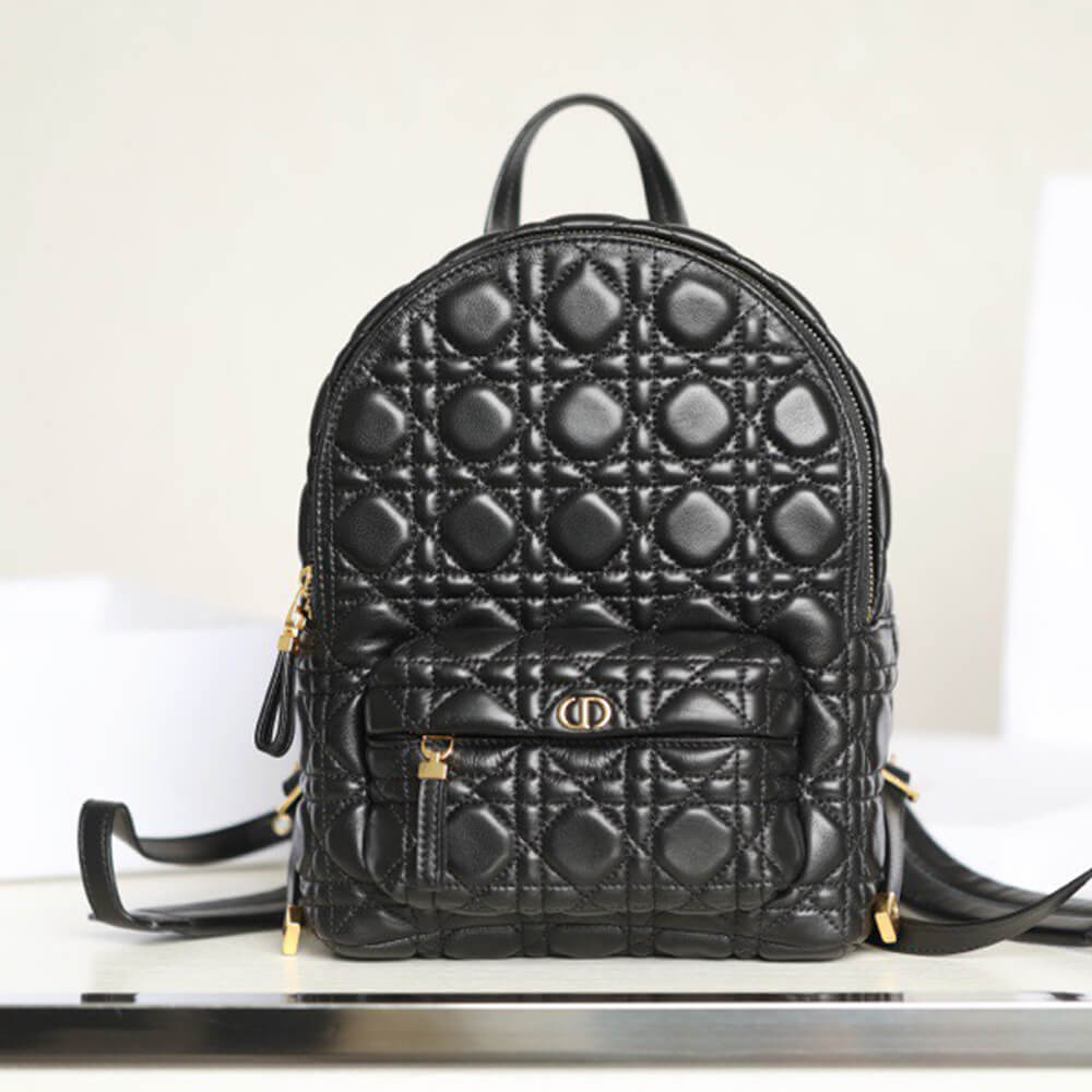 Dior SMALL DIOR BACKPACK