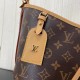 Louis Vuitton CARRYALL MM BAG