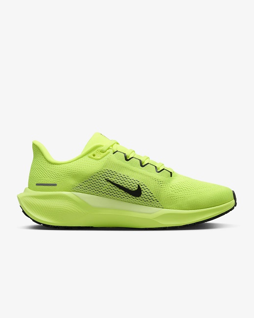 Nike Pegasus 41