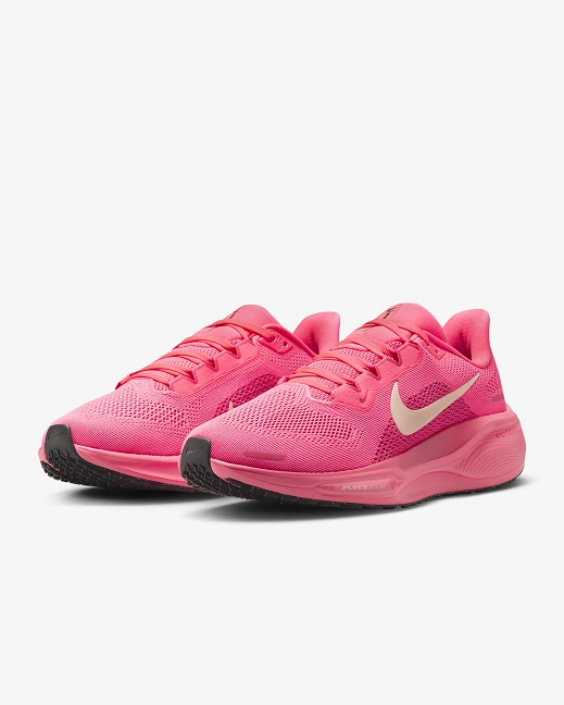 Nike Pegasus 41